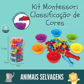 Kit Montessori Classificação de Cores